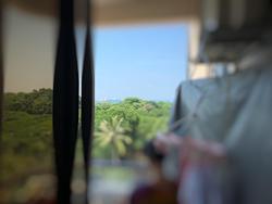 Bayshore Park (D16), Condominium #208275951